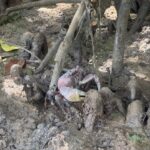 現在の画像に代替テキストがありません。ファイル名: 22679bba4fc43b675dee75a2633c5623.jpg