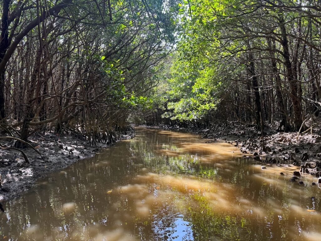 現在の画像に代替テキストがありません。ファイル名: IMG_0035.jpg